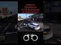 Cambrioleur Neutralisé par la Police Municipale de Lille.