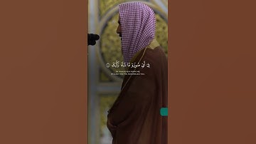 ما تيسر من سورة الانفطار 🤍🎧 #قرآن #المصحف #قران_كريم #سورة_الانفطار #احمد_طالب