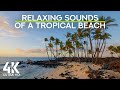 Relaxing Sounds of a Tropical Beach - Calmness of Ocean Waves &amp; Tropical Birds Chirping