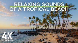Relaxing Sounds of a Tropical Beach - Calmness of Ocean Waves & Tropical Birds Chirping