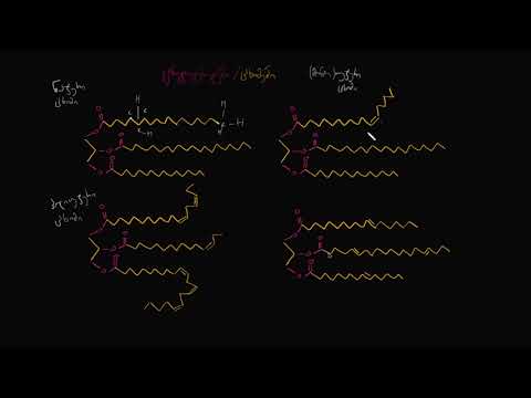 ნაჯერი ცხიმები, უჯერი ცხიმები და ტრანს ცხიმები