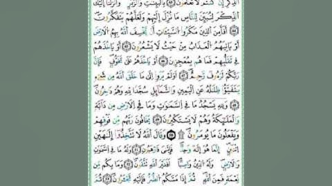 صفحة/٢٧٢/ رواية ورش عن نافع/ سورة النحل/ ابو النور الهادي