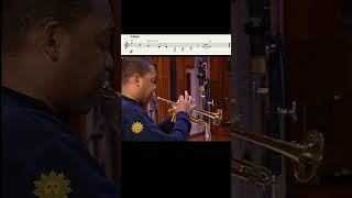 Wynton Marsalis Abblasen By Gottfried Reiche Cbs Sunday Morning News Intro