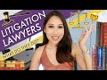 Lawyer Secrets: WHAT DOES A LITIGATION LAWYER DO?