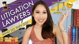 Lawyer Secrets: WHAT DOES A LITIGATION LAWYER DO?