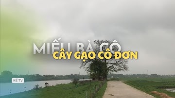 Cây Gạo Cô Đơn SỰ TÍCH MIẾU BÀ CÔ | KẾ TV