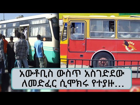 ቪዲዮ: በኩሽና ውስጥ የማስጌጥ ፕላስተር፡ አይነቶች እና ግምገማዎች