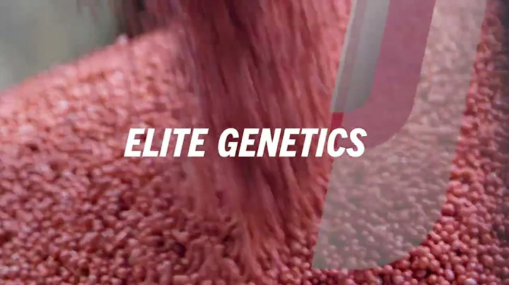 XtendFlex® Soybeans: Putting Innovation Into Action for Soybean Farmers