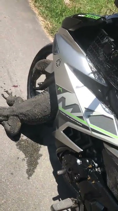 Alamakkk..kena bewak niee