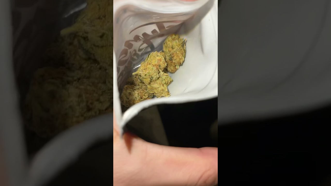 Jungle Boys ( MOTOR BREATH )