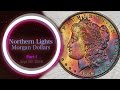 CoinWeek: Toned Morgan Dollars of the Northern Lights Collection, Part 1 - 4K Video