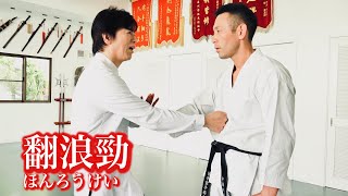 Invisible punch!【fan lang jin】Tamotsu Miyahira explains amazing Kungfu techniques.