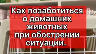 Как позаботиться о домашних животных при чрезвычайной ситуации.