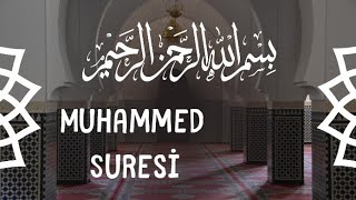 Muhammed Suresi