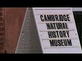 Cambridge Natural History Museum secures a permanent home