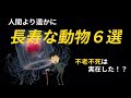 不老不死まで！？人間よりも遥かに長寿な動物6選！