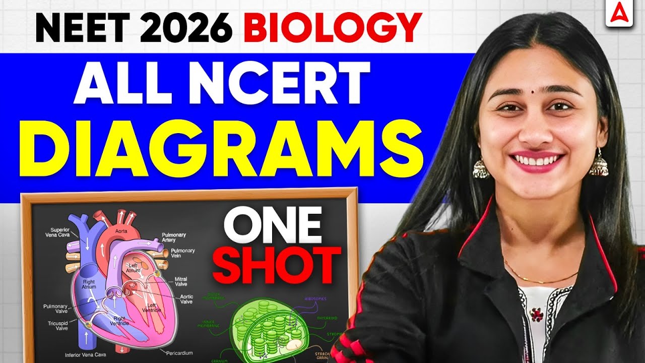 All NCERT Biology Diagrams in ONE SHOT for NEET UG 2026 Explained ...