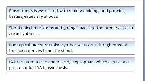 Lecture 13: Plant Signals Part 1