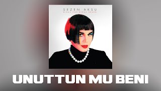 Sezen Aksu & Taladro - Unuttun Mu Beni [feat.Arabesk Prod] #mix Resimi