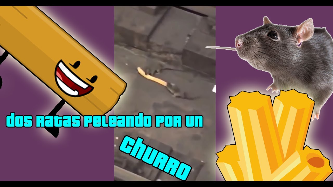 Dos Ratas Peleando Por Un Churro