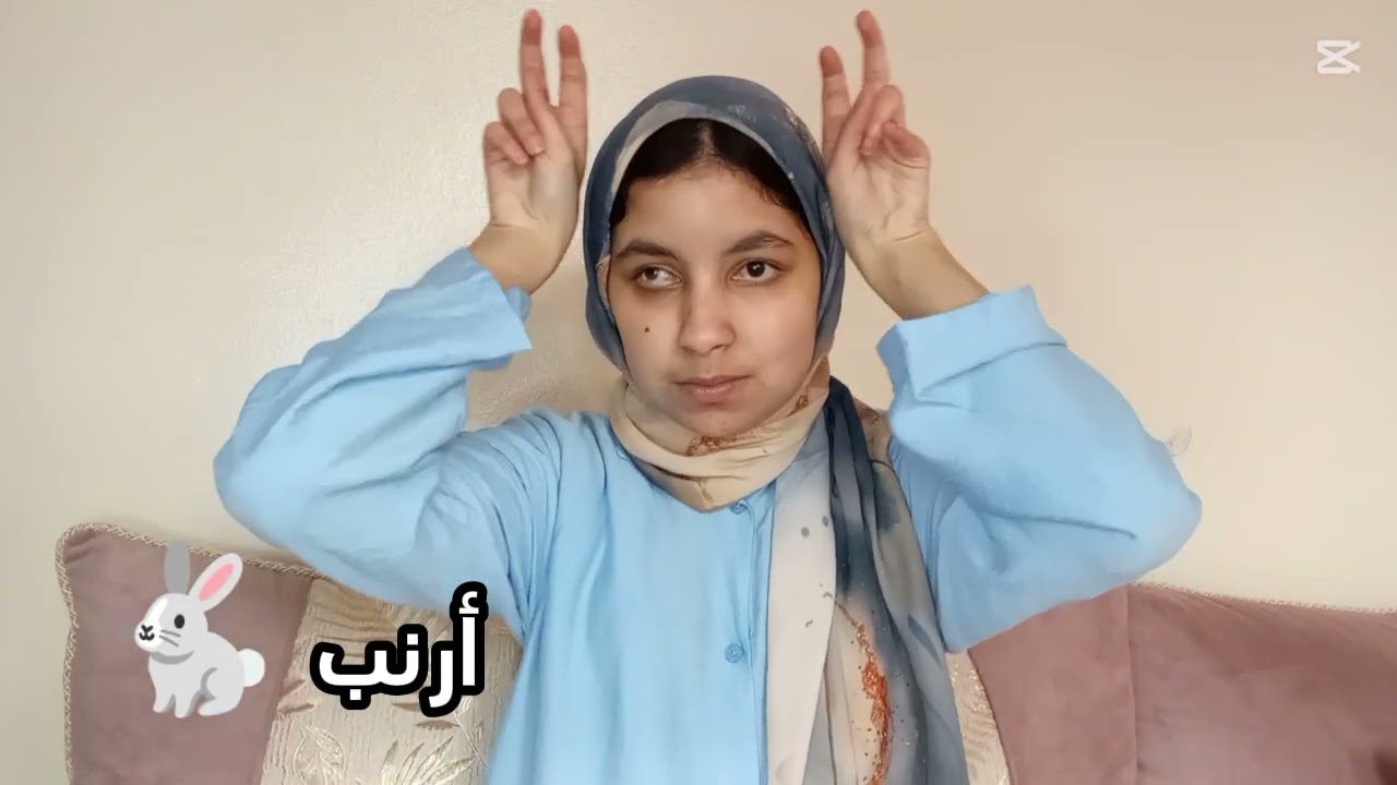 إشارات الحيوانات بلغة الإشارةـ تعلمها بسهولة و تواصل بطلاقة🐾