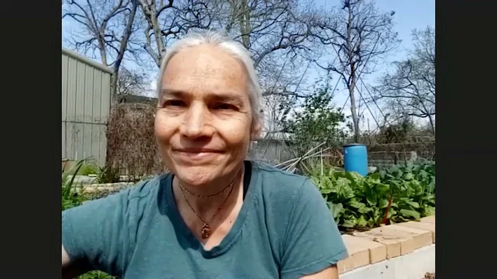 Four Unitarians talk about their climate action
