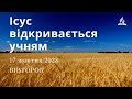 Ранкові Читання - 17/10/2023