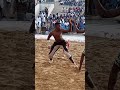 Shagon Shamsu Vs Aljanin Dan Sama Ila