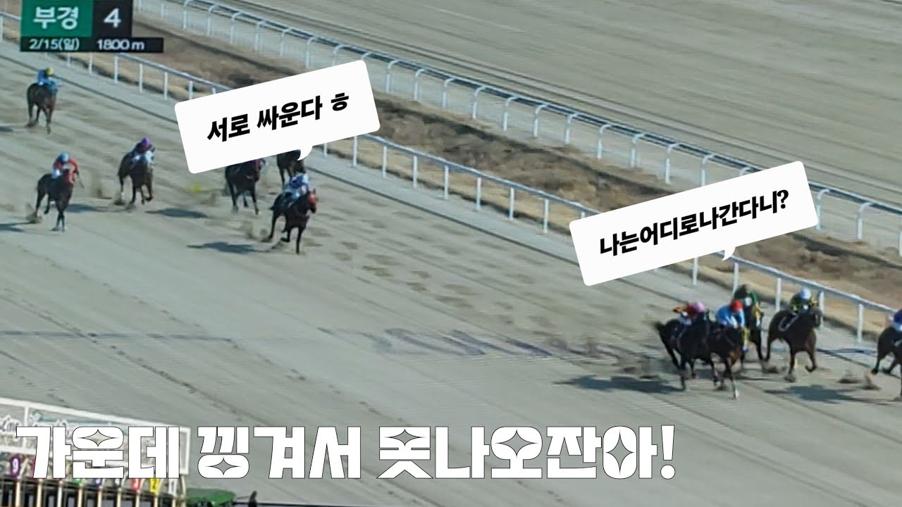 이거 심의경주 아니야?(오아시스 아델 막혔잔아!)#부산경마 