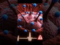 The Truth About Diabetes | Causes, Symptoms &amp; How to Treat It