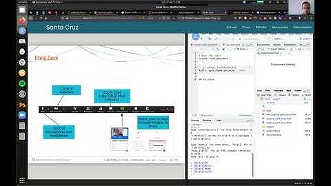 useR! 2020: Spatial data handling and visualization (S. Rochette, D. Scott, J. Nowosad), tutorial