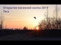 Охота на вальдшнепа 2019