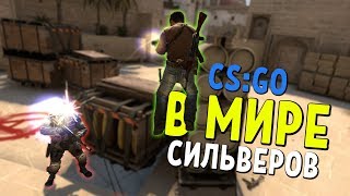 В МИРЕ СИЛЬВЕРОВ #24 | CS:GO