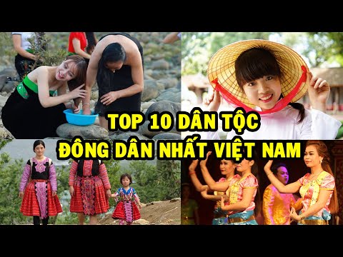 Video: Động thái dân số bao gồm những yếu tố nào?