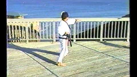 Pyong An Sa Dan - Grand Master Park