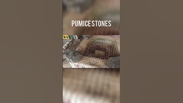 Dhanushkodi Floating Stones #ramsetu #shorts