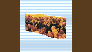 Background For Laidback Fall Moods