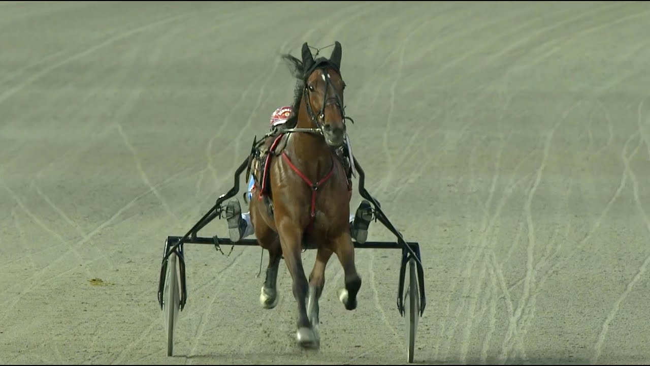 Genen Som r Avg rande F r En Bra Travh st YouTube genen-som-r-avg-rande-f-r-en-bra-travh-st-youtube