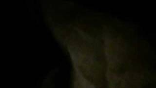 Re The King Downloads Sony Vegas