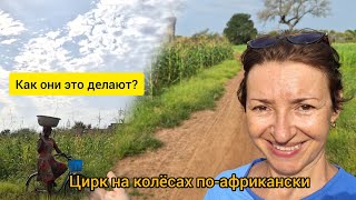 видео: #134 Жизнь в Африканской провинции  картинка: #134 Жизнь в Африканской провинции