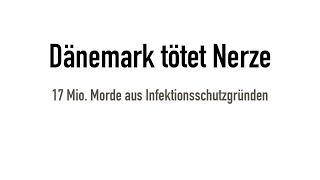 Dänemark tötet Nerze - 17 Mio. Morde aus Corona-Infektionsschutzgründen