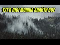 ЧОМУ ВАРТО КОПАТИ У ЛІСІ !  Пошук з металошукачем Коп 2021 UKRAINE Digger