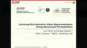 Learning Discriminative Video Representations Using Adversarial Perturbations