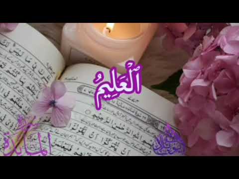 دقائق قرآنيةالآية ٧٦ من سورة المائدة قل اتعبدون من دون الله مالا يملك لكم ضرا الأستاذ طه ابو بلال