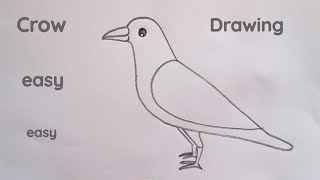 how to draw crow drawing easy easy easy step by step@DrawingTalent