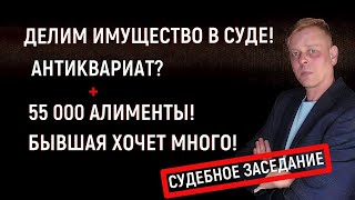 Делим имущество в суде! Бывшая жена и юрист размечтались! Судебное заседание! Судья троллит бывшую!