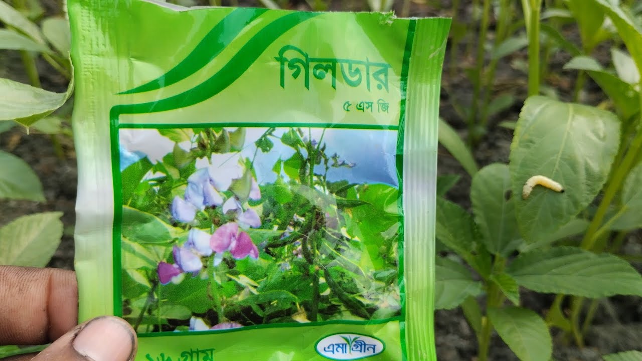 Hardkor jinsiy buzuqliklar Hardkor jinsiy buzuqliklar