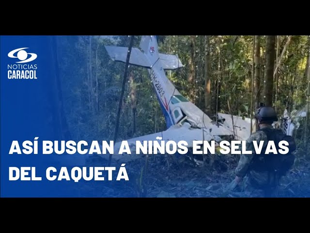 En medio del hambre y el frío, soldados buscan a niños perdidos en selva de Caquetá