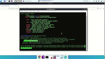 Anonsurf and TOR Browser on my Kali Linux