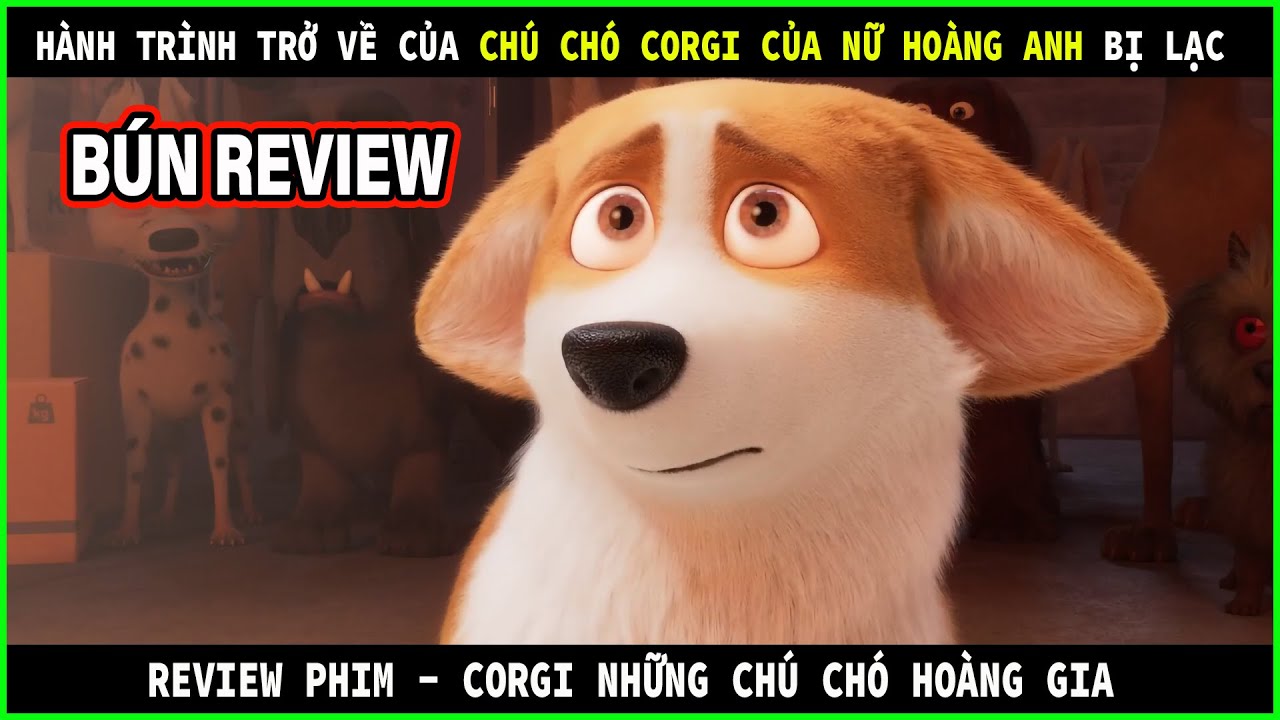 Đây là chú chó Corgi đẹp nhất nước Anh - REVIEW PHIM : Corgi Những ...